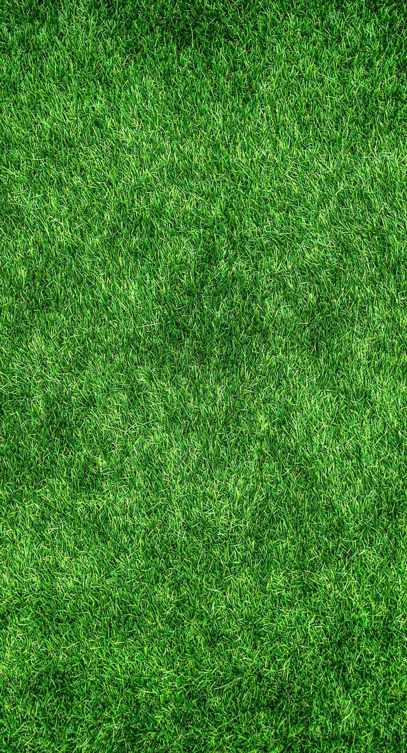 Eco-Friendly Spots