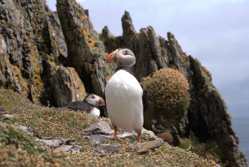 Skellig Michael, Ireland